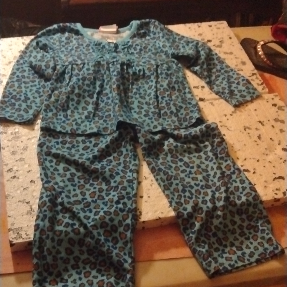 Blue leopard print pajama set 2t